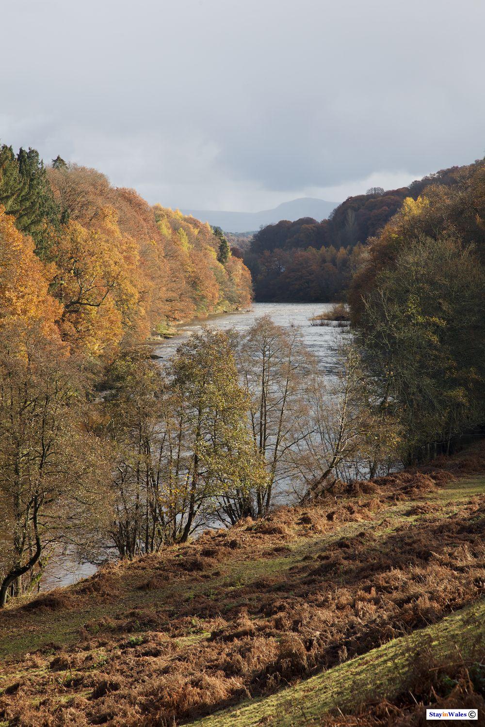 River Wye Autumn view