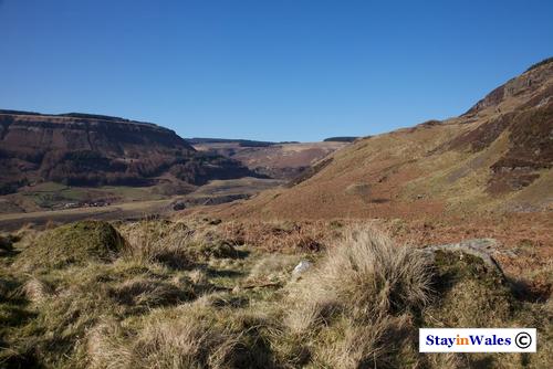 Head of Rhondda Fawr