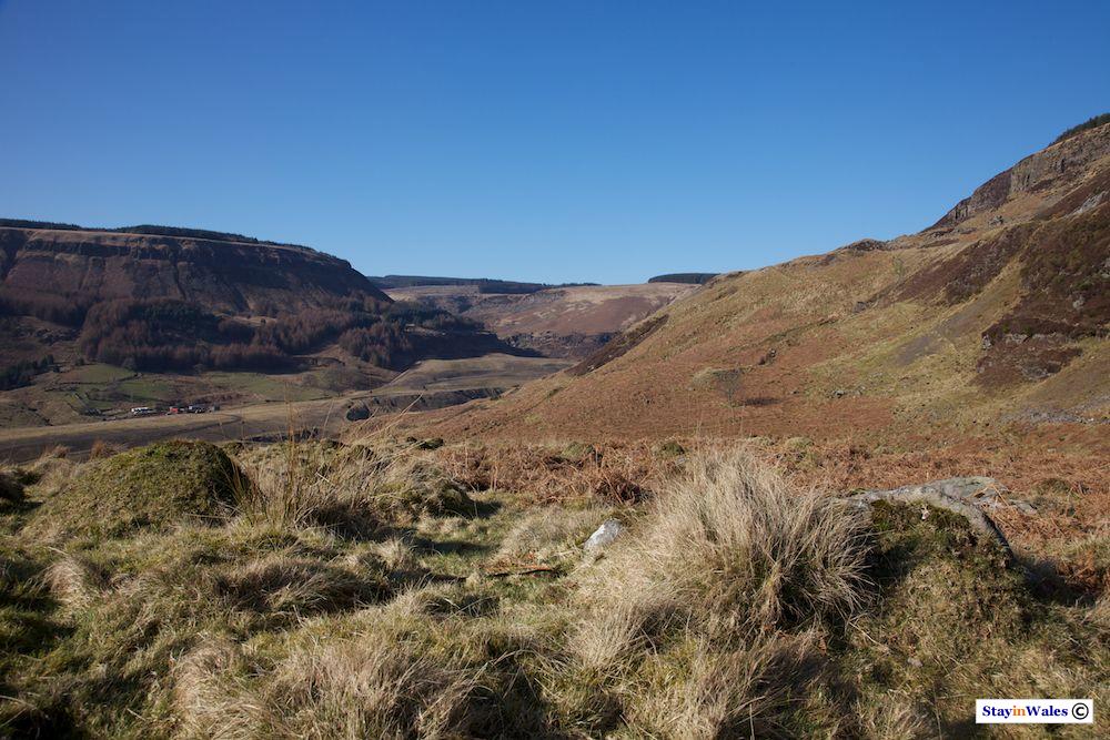 Head of Rhondda Fawr