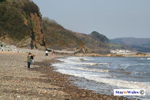 Beach at Wiseman's Bridge