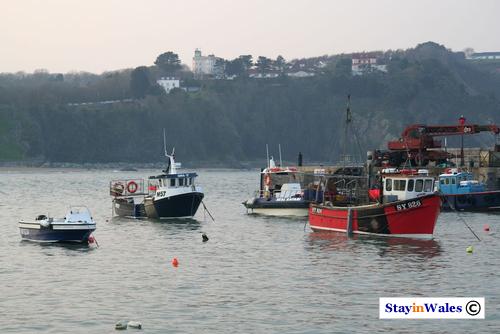 Tenby fishing boats