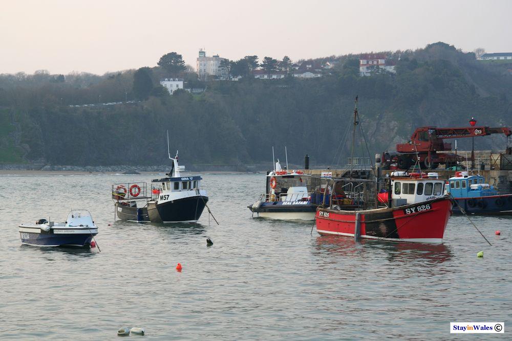 Tenby fishing boats
