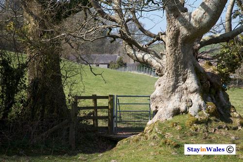 River Taf footpath, Laugharne