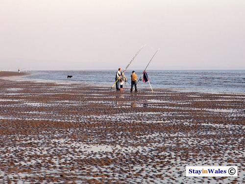 Sea fishing Pendine