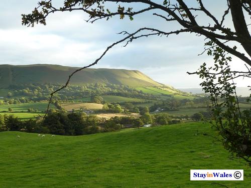 Aberedw Hill, Builth Wells