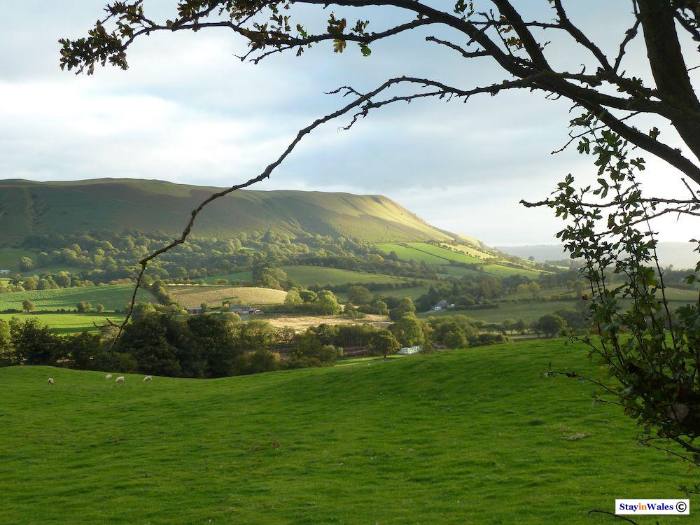 Aberedw Hill, Builth Wells