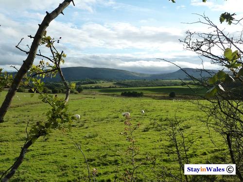 Trembyd and Pystllgwyn from Nant Glas