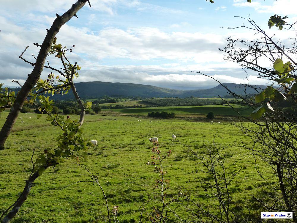 Trembyd and Pystllgwyn from Nant Glas