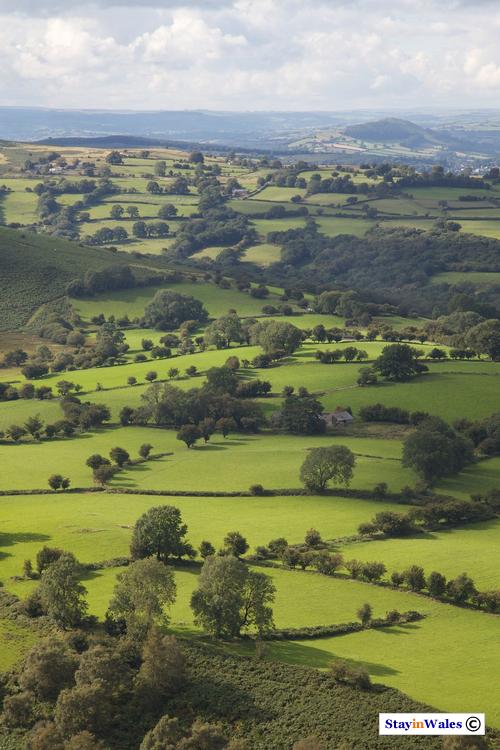 Usk Valley view