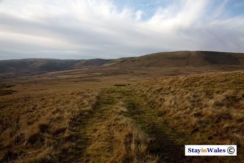 Moorland in the Cambrians