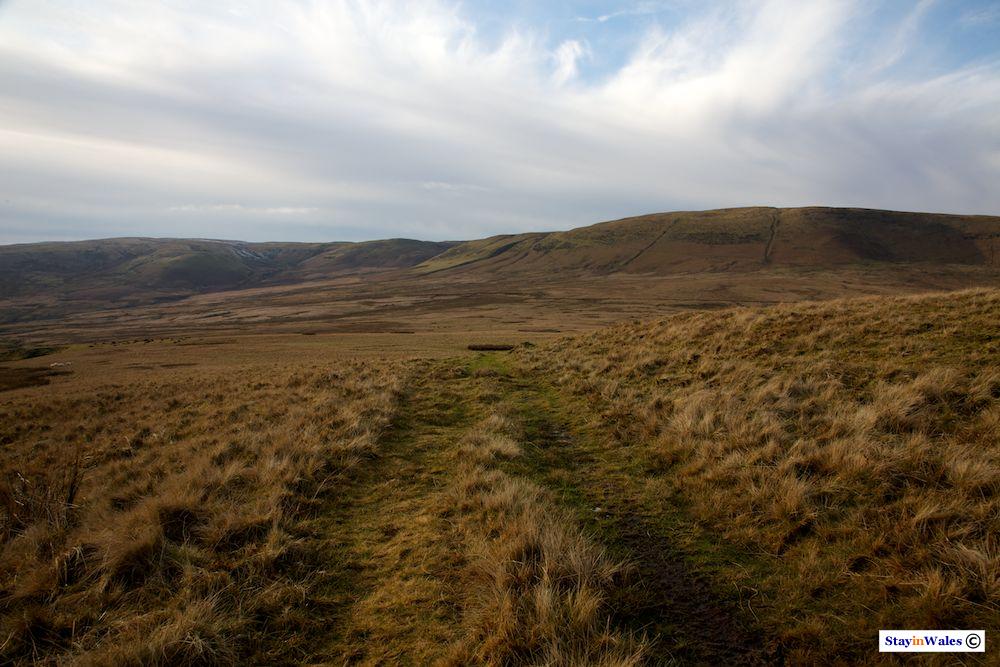 Moorland in the Cambrians