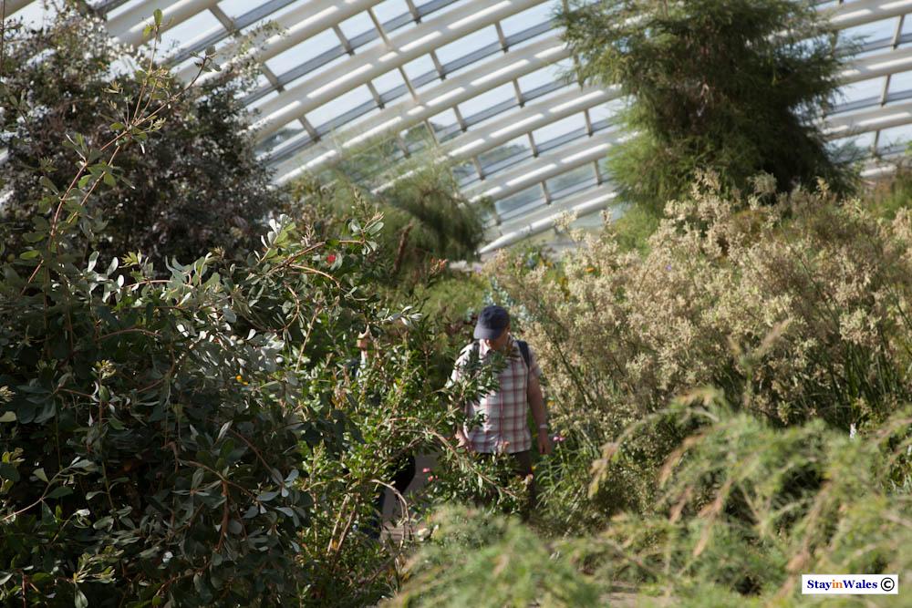 Gatehouse at National Botanic Garden of Wales