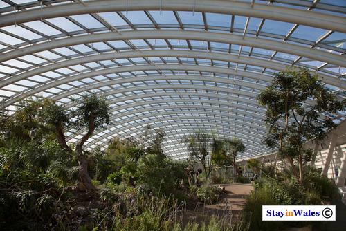 Great Glasshouse, Carmarthenshire