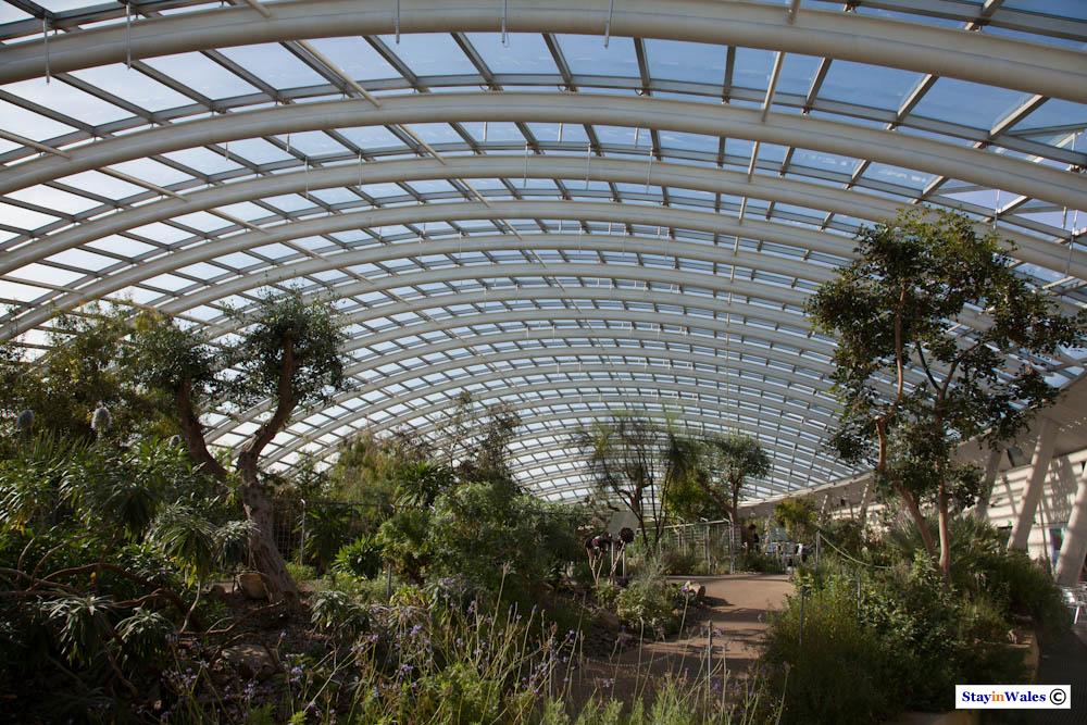 Great Glasshouse, Carmarthenshire