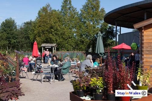 Cafe at NBGW Carmathenshire