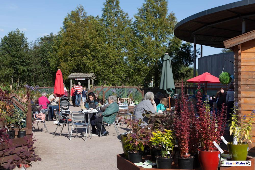 Cafe at NBGW Carmathenshire