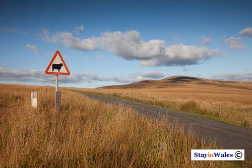 Tair Carn Isaf