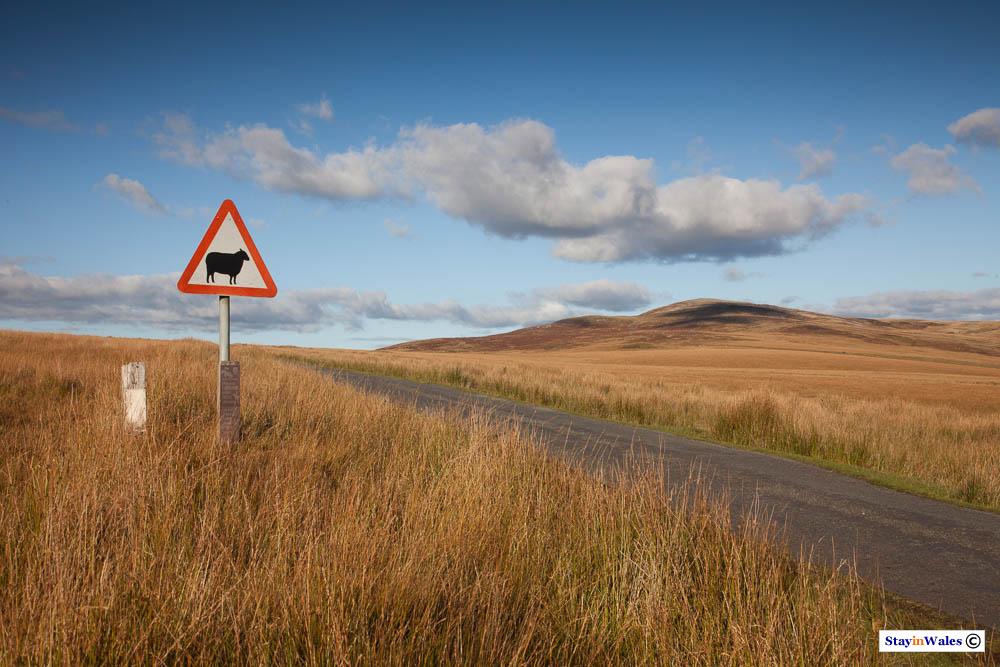 Tair Carn Isaf