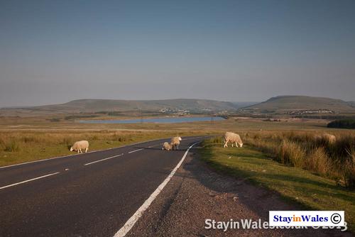 Garnlydan Reservoir, South Wales