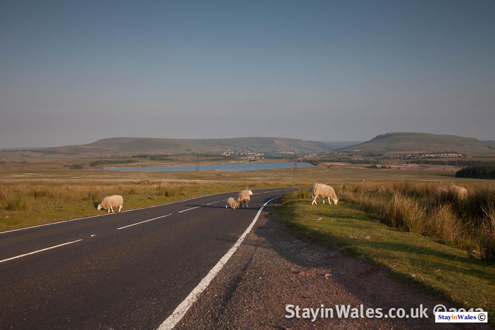 Garnlydan Reservoir, South Wales