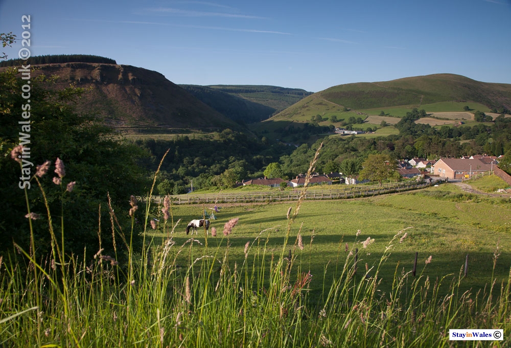 View from Croeserw