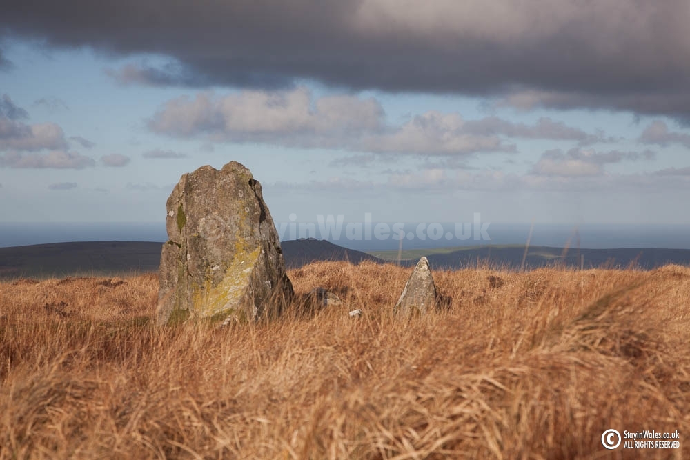 Standing stone in the Preselis