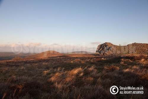Carn Gyfrwy in the Preselis