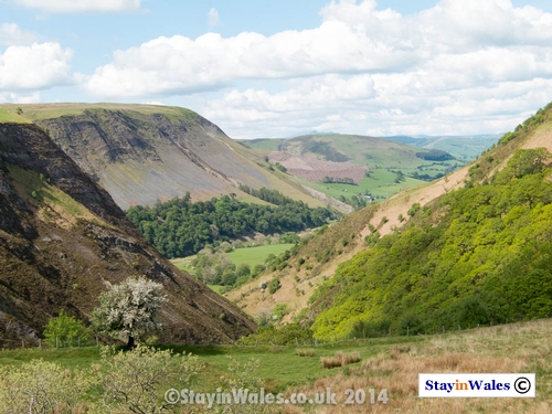 The Dylife Gorge