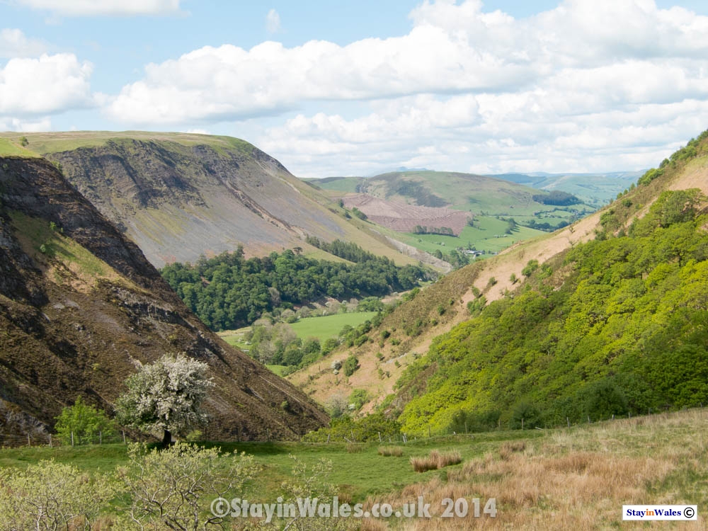 The Dylife Gorge