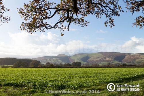 Radnor Forest from Evenjobb