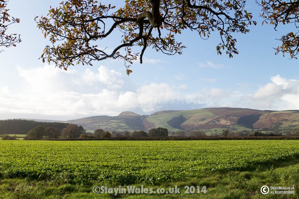 Radnor Forest from Evenjobb