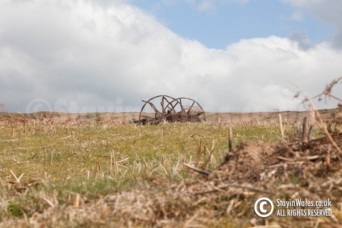 Abandoned hay scarifier