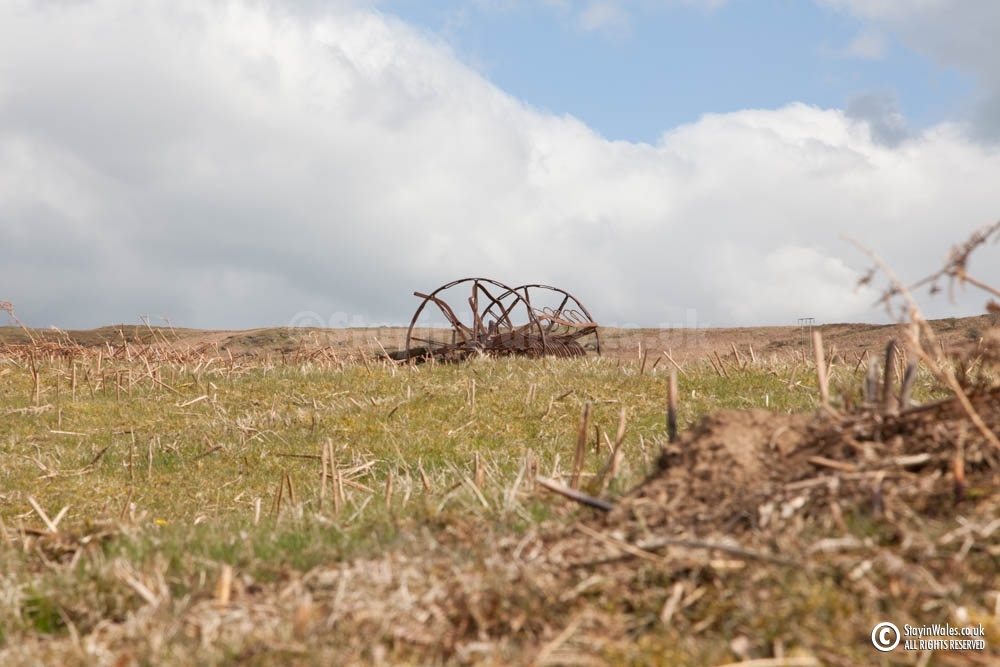 Abandoned hay scarifier