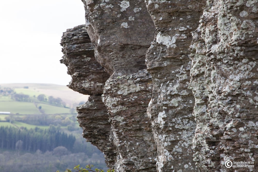 Detail of Aberedw Rocks