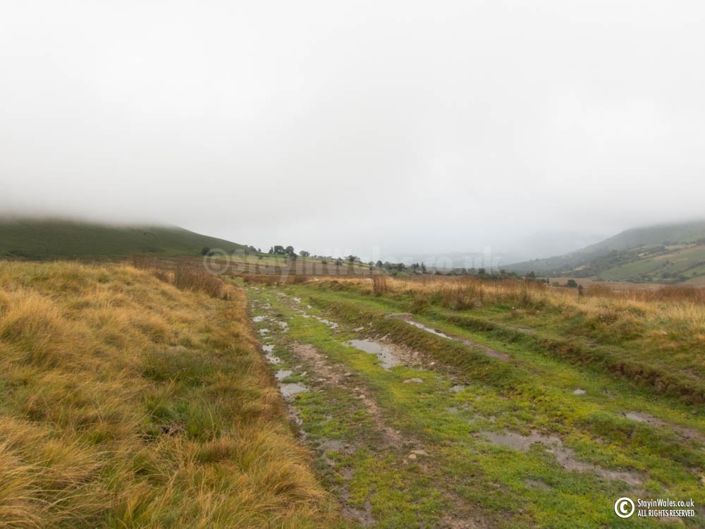 Llanwrthyl Common