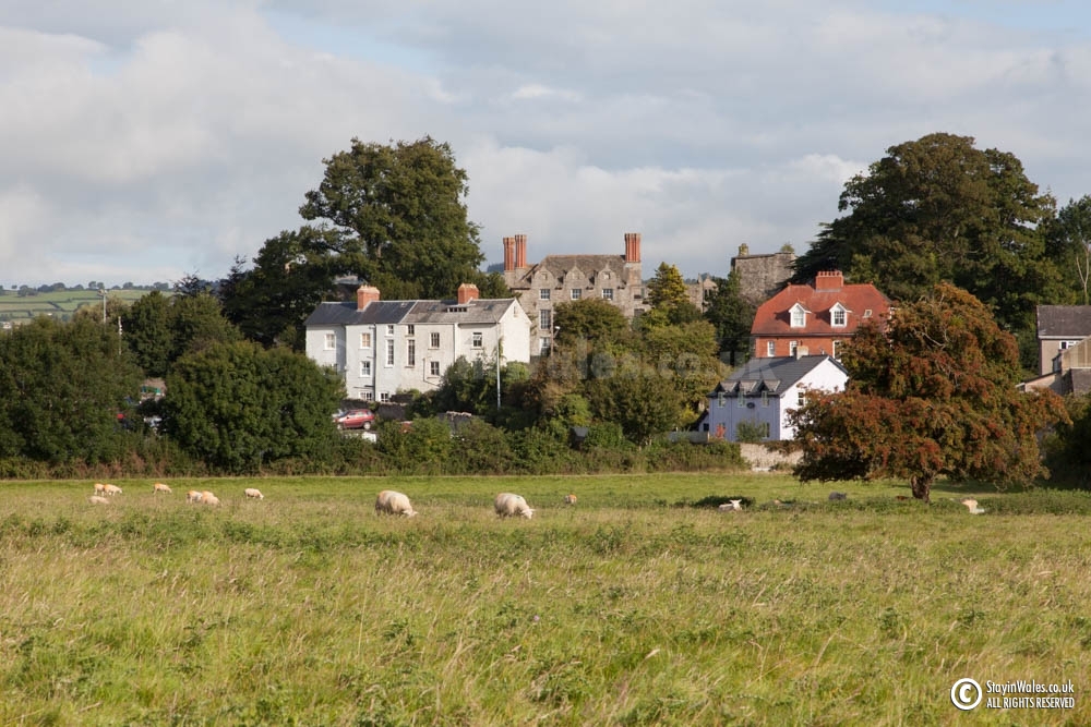 Hay from the south
