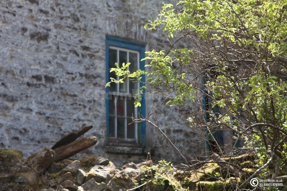 Pantau Farmhouse