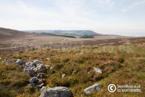 Moorland above Trefil