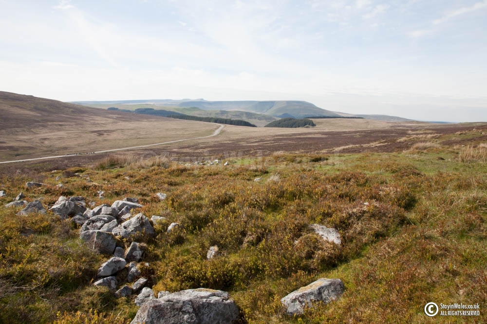 Moorland above Trefil