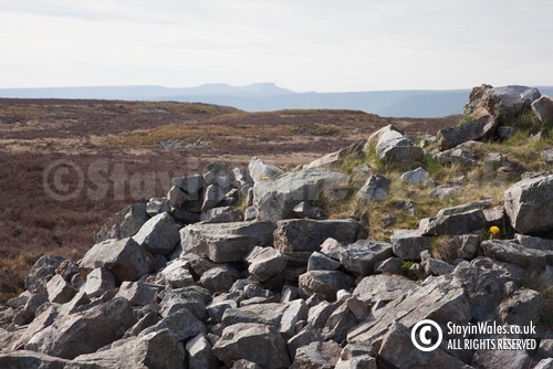 Ty Aderyn Cairn