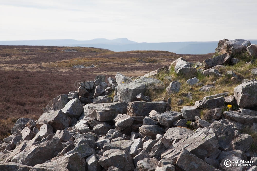 Ty Aderyn Cairn