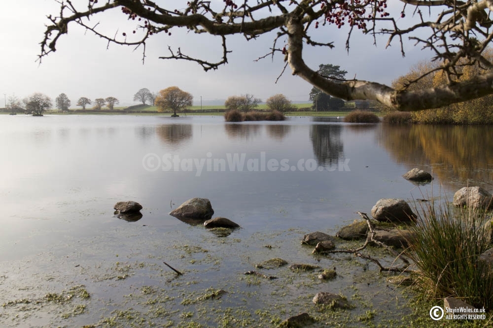 Brechfa Pool