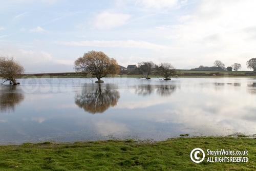 Brechfa Pool
