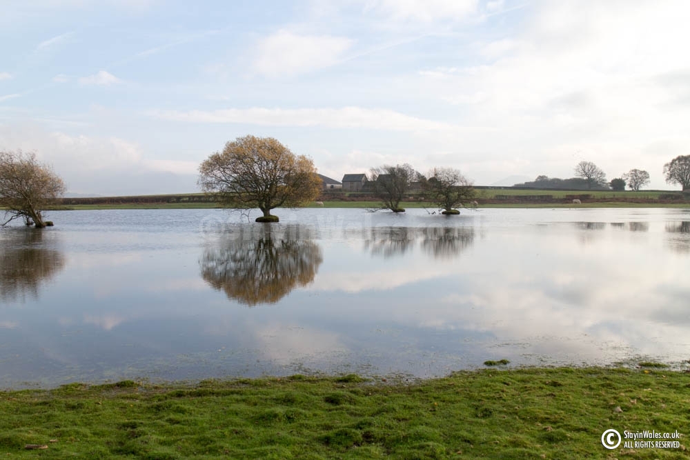 Brechfa Pool