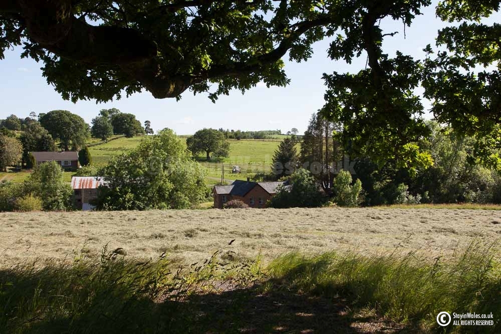 Cut Hay near Llandrindod