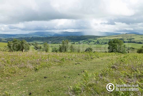 Black Mountains Vista