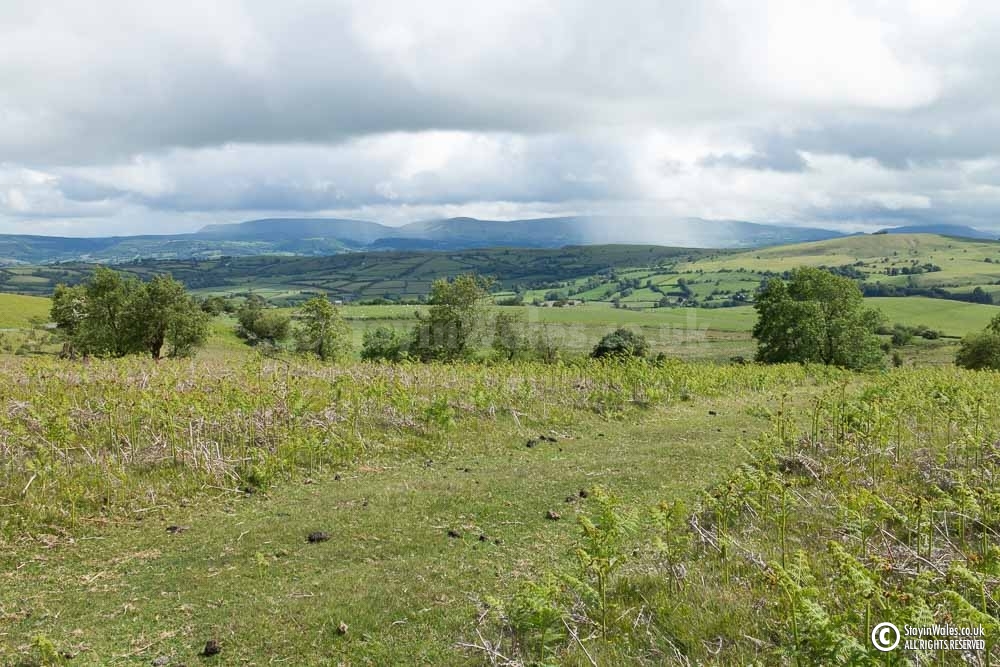 Black Mountains Vista