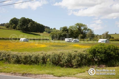 Noyadd Farm Campsite