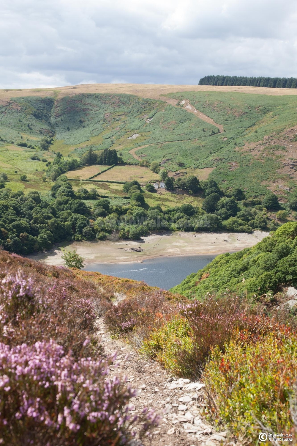 Garreg-ddu reservoir