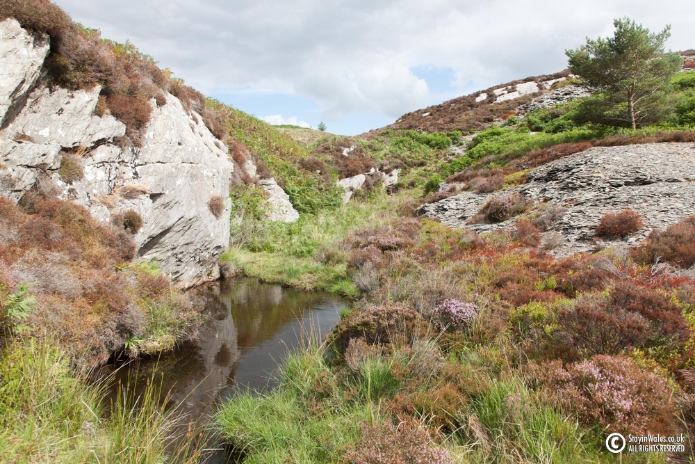 Elan valley stream